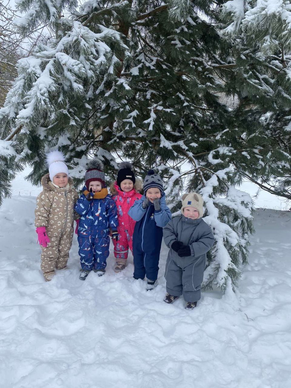 photo 2026 02 13 21 21 07