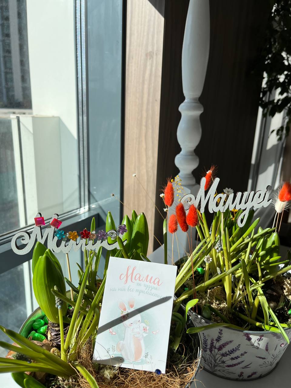 цв2photo 2026 03 09 13 54 24